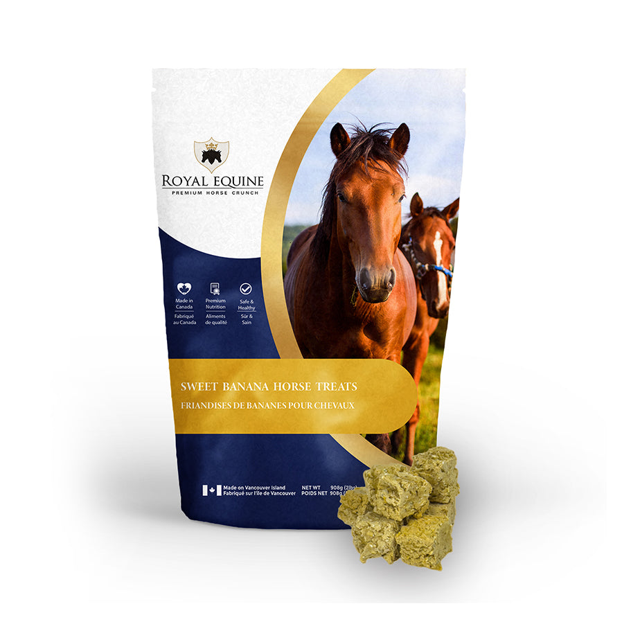 Friandises pour chevaux Royal Equine de Centurion Supply, accessoire pour l'alimentation équine, présentation en sachet.