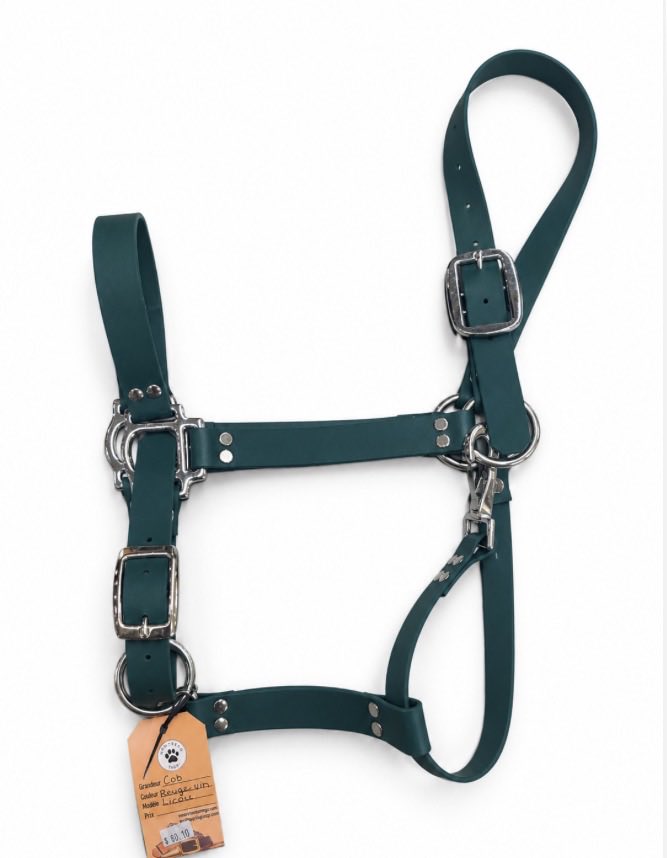 Licou en Biothane uni de la marque ES Sellerie Western, accessoire équestre solide et durable, avec boucle métallique.