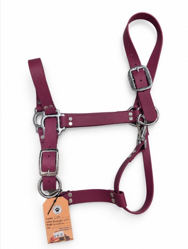Licou en Biothane uni de la marque ES Sellerie Western, accessoire équestre solide et durable, avec boucle en métal.
