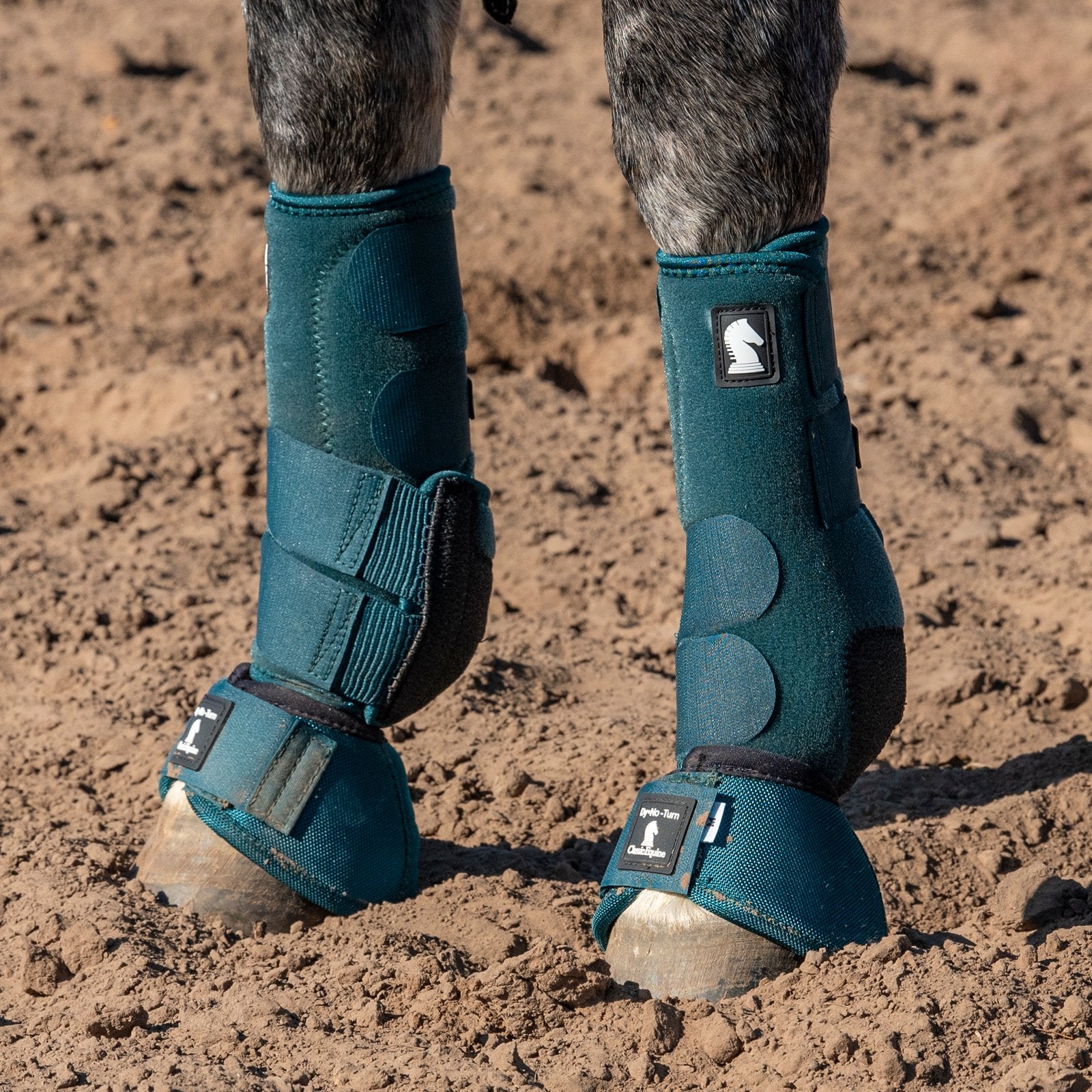Paired Cloche No-Turn Dyno Dragon Fly pour chevaux, en acier, avec motif de libellule, par la marque Equibrand.