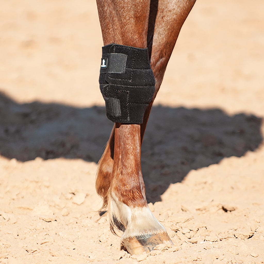 Protège-genou noir Classic Equine en lot de 1, conçu pour le confort et la protection lors de l'équitation, par Equibrand