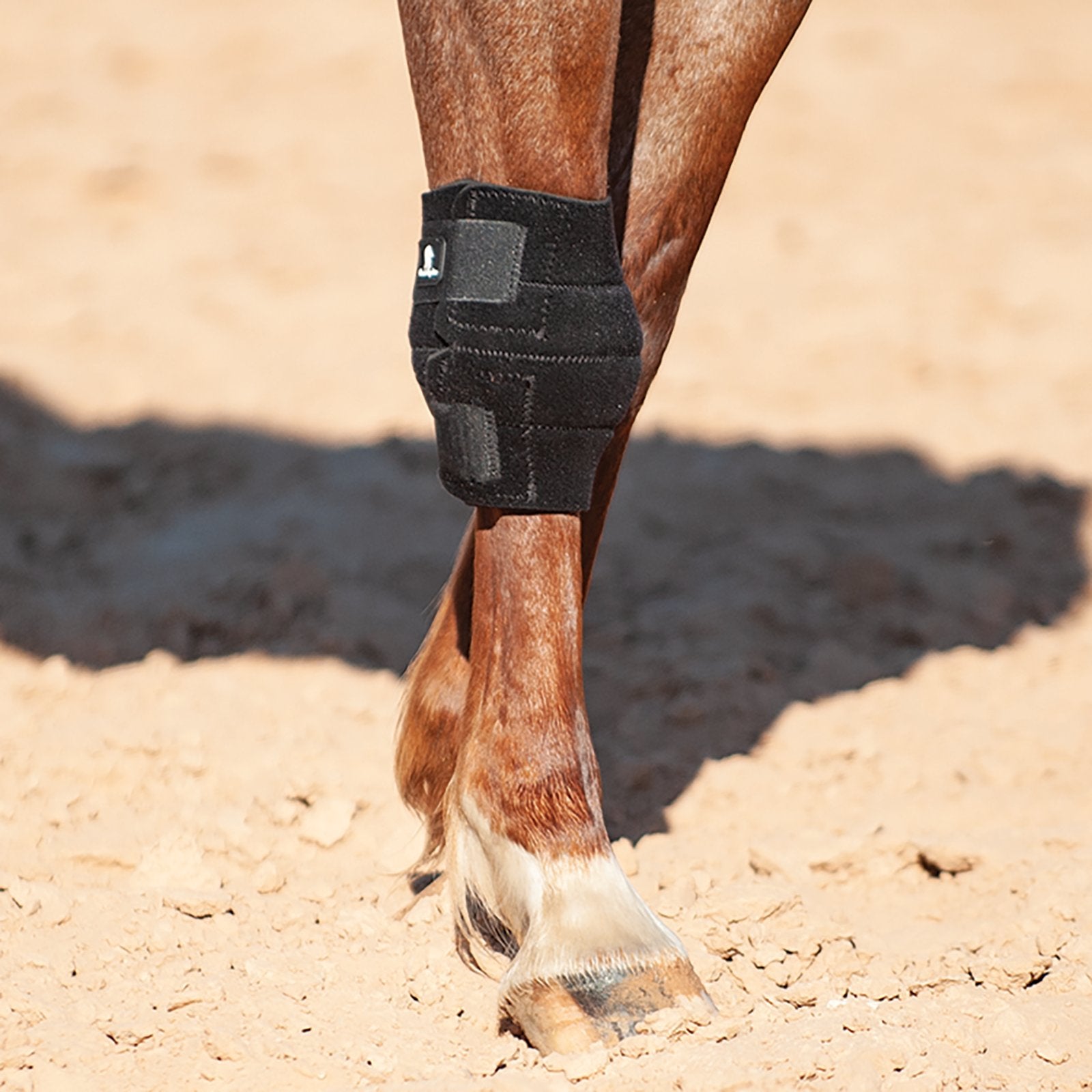 Protège-genou noir Classic Equine en lot de 1, conçu pour le confort et la protection lors de l'équitation, par Equibrand