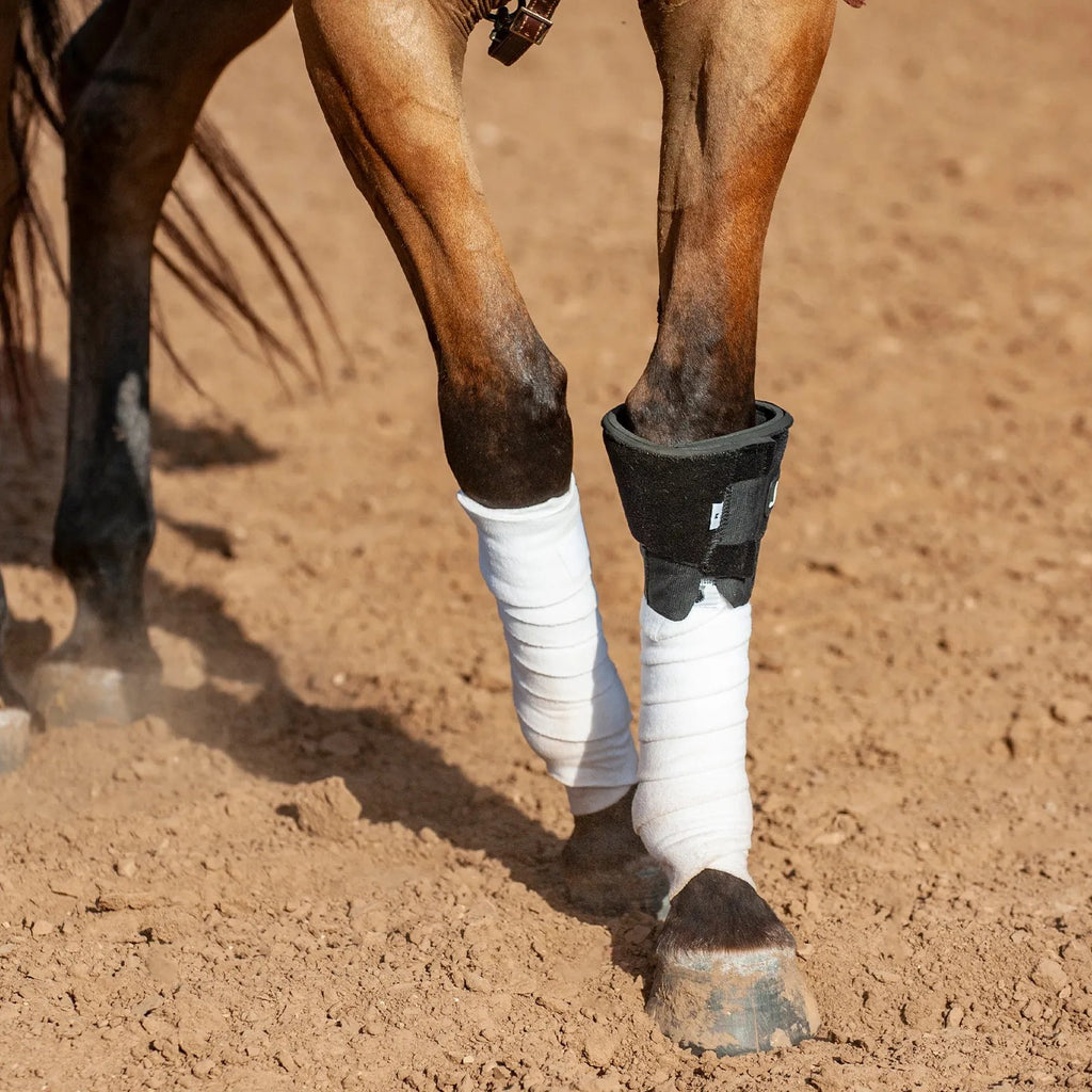 Bottes de genou 2