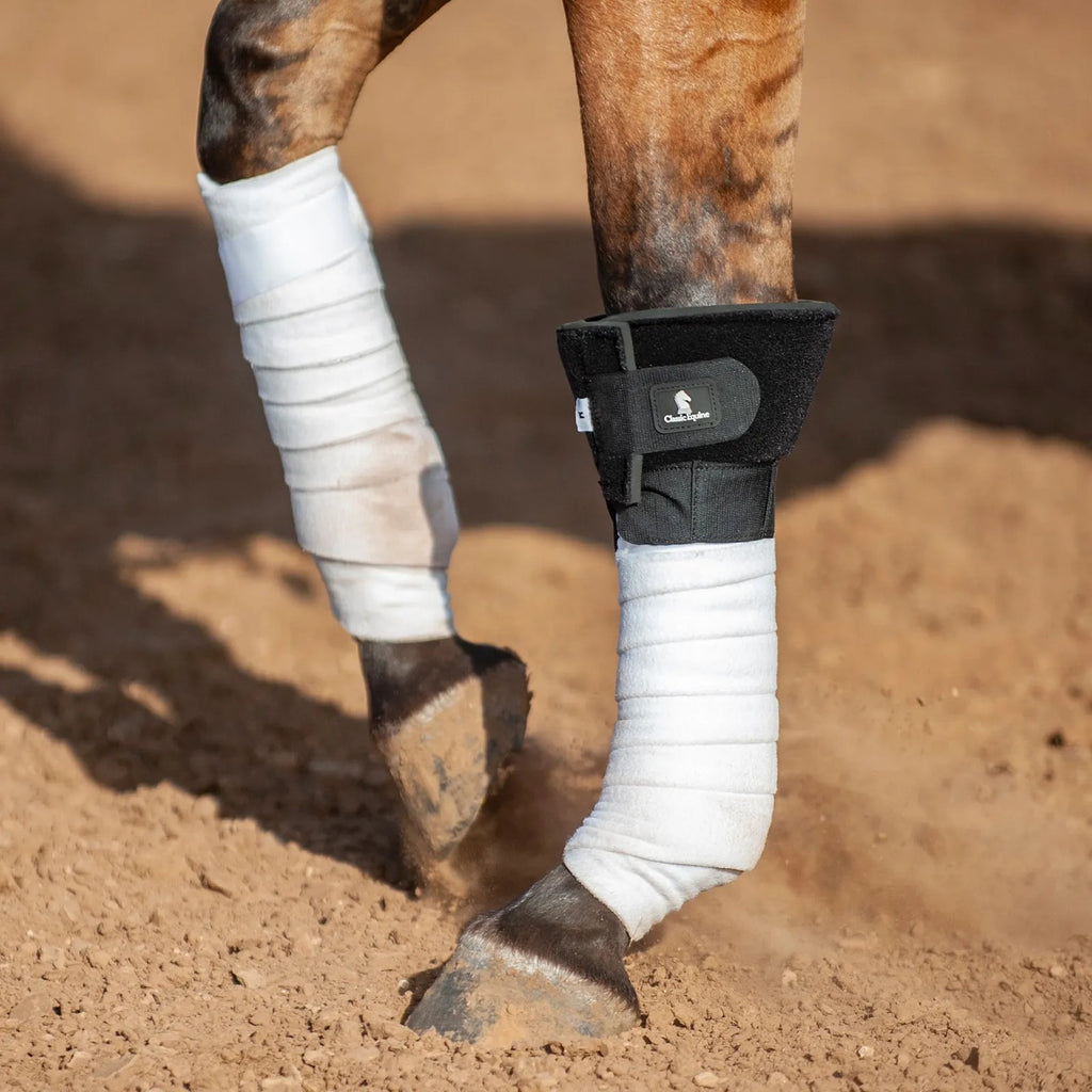 Bottes de genou 2