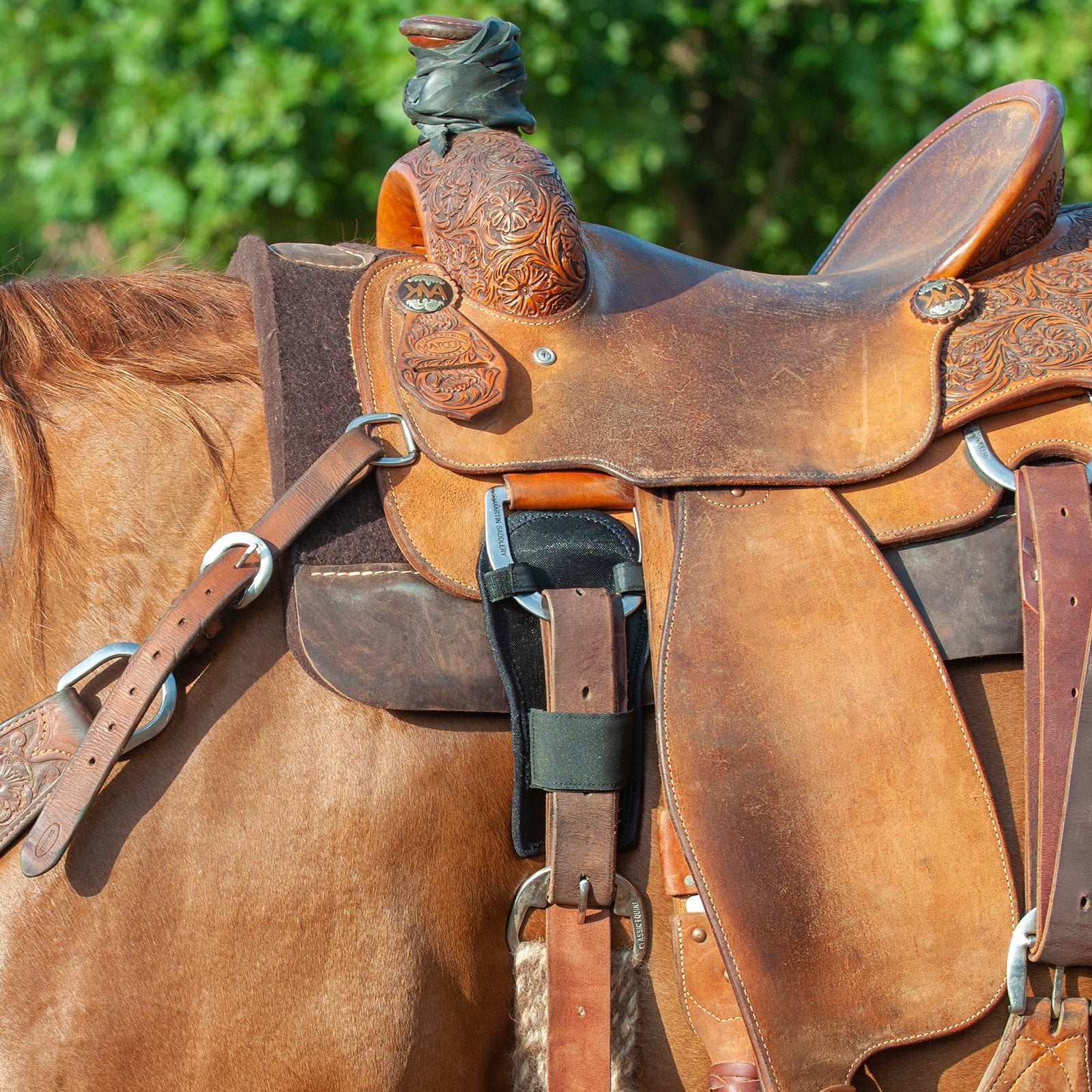 Protecteur de sangle Latigo