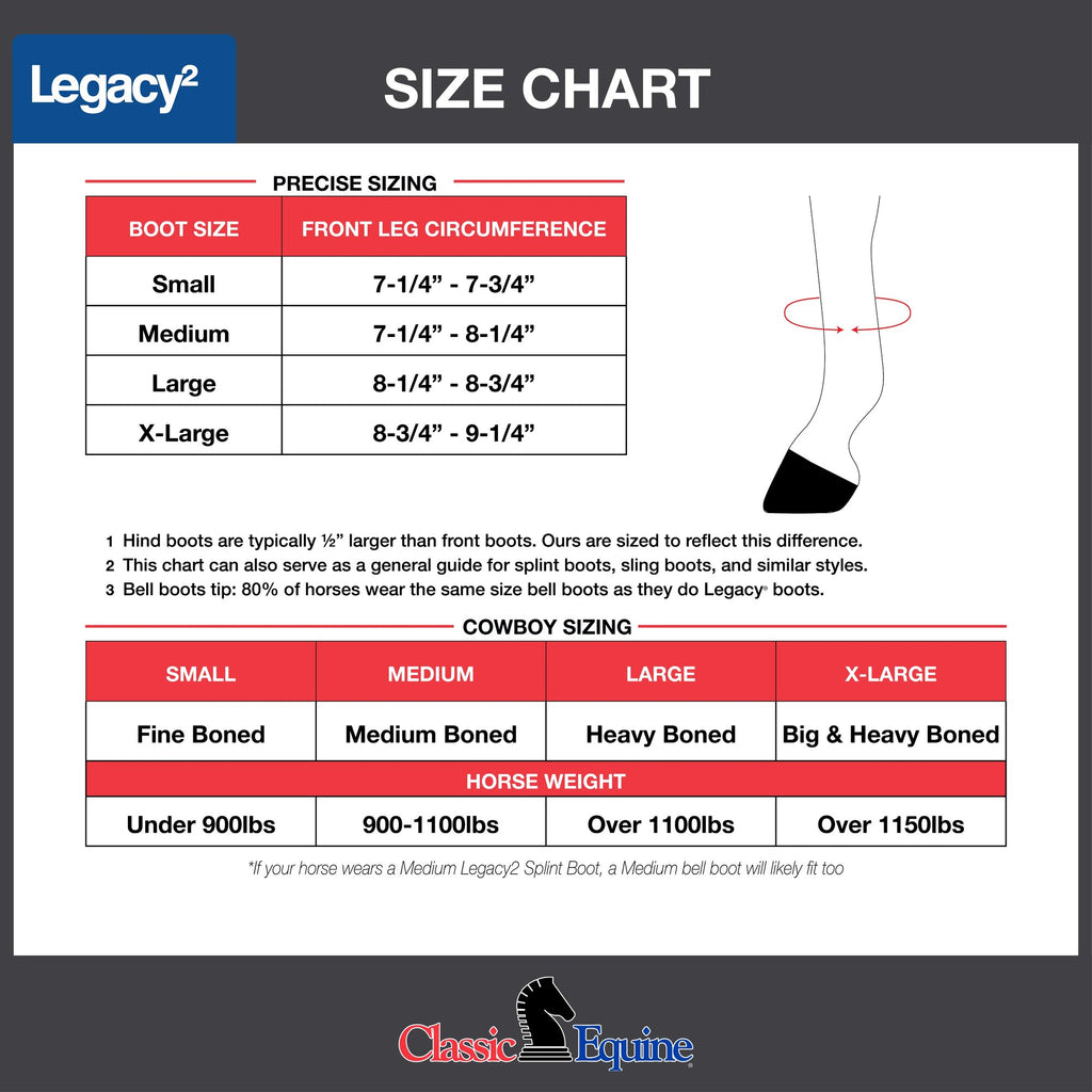 Paire de guêtres arrière noir Equibrand Legacy2, protection solide pour équitation, visibles en détail sur cette image.