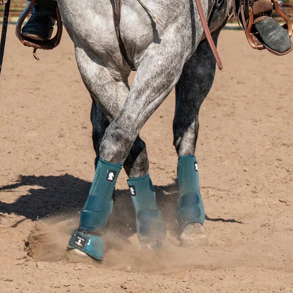 Paire de guêtres avant Equibrand Legacy2 Dragon Fly, protection en tissu avec motifs colorés, pour cheval.