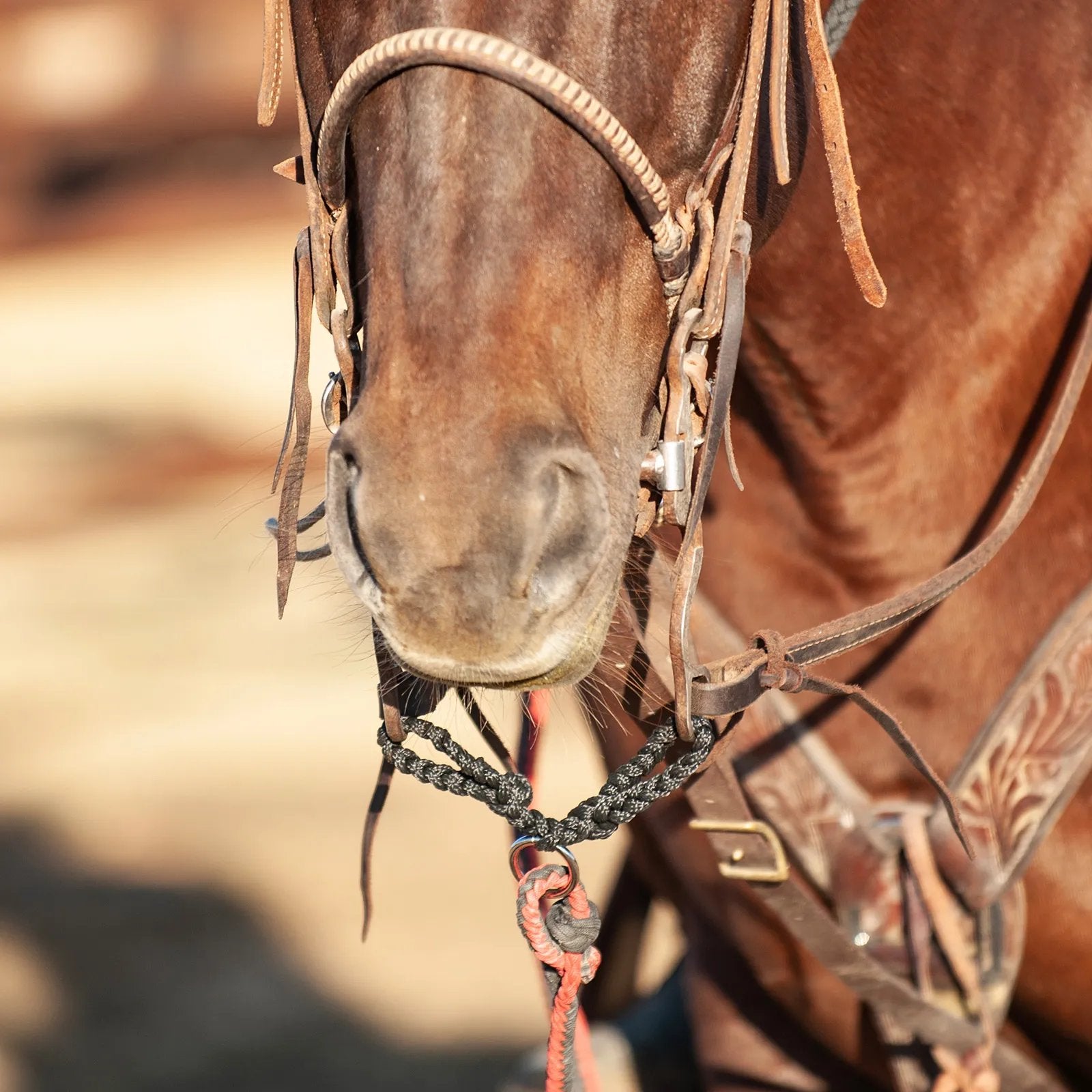Attache pour mors Jerk Line de la marque Equibrand, accessoire équestre en cuir robuste pour le contrôle du cheval.