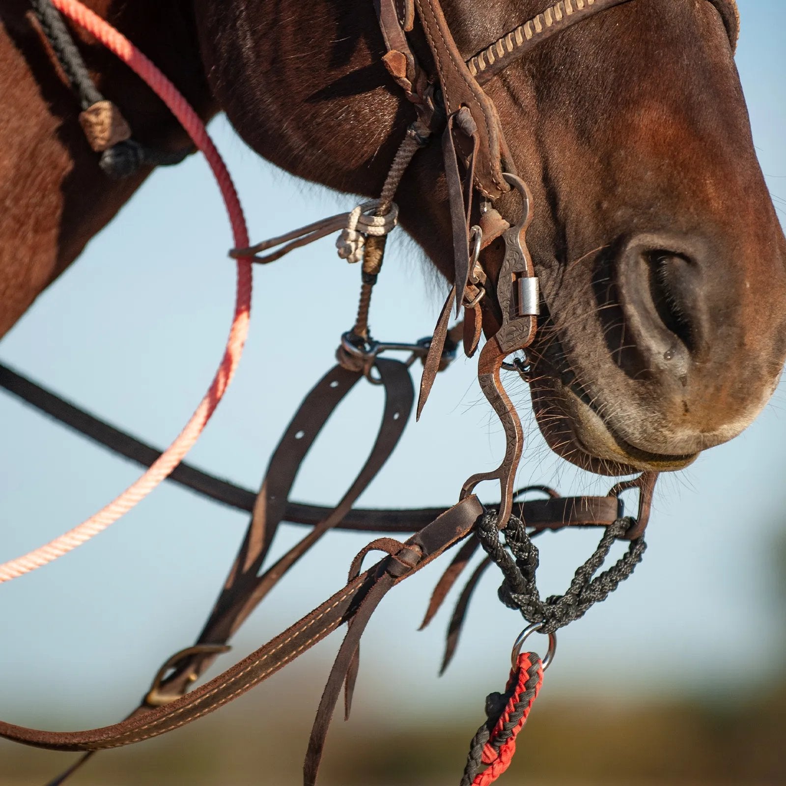 Attache pour mors Jerk Line Equibrand, accessoire équestre en cuir noir avec boucle robuste, utilisé pour le contrôle du cheval.
