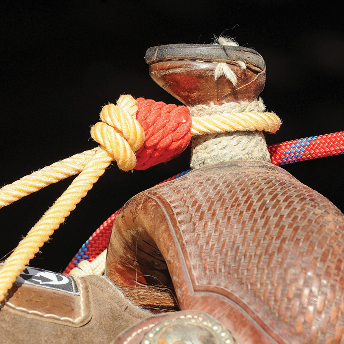 Nœuds de corne pour lasso Equibrand, accessoires équestres en bois avec cordons pour renforcer la prise.