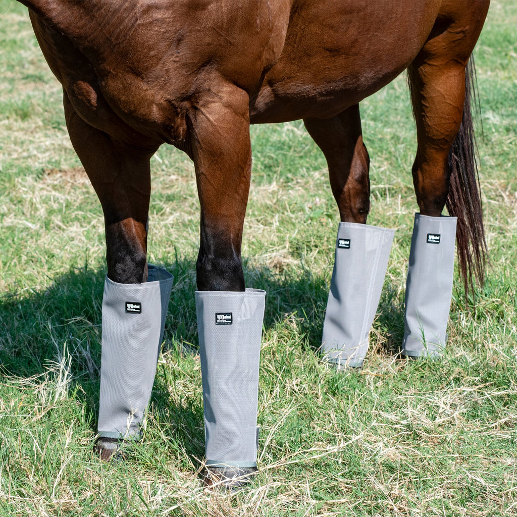 Bottes anti-mouches Equibrand avec protège-jambes, accessoires pour protection contre les insectes, en tissu noir.