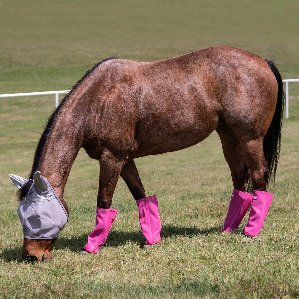 Bottes anti-mouches et protège-jambes équibrand, accessoires pour la protection contre les insectes en extérieur