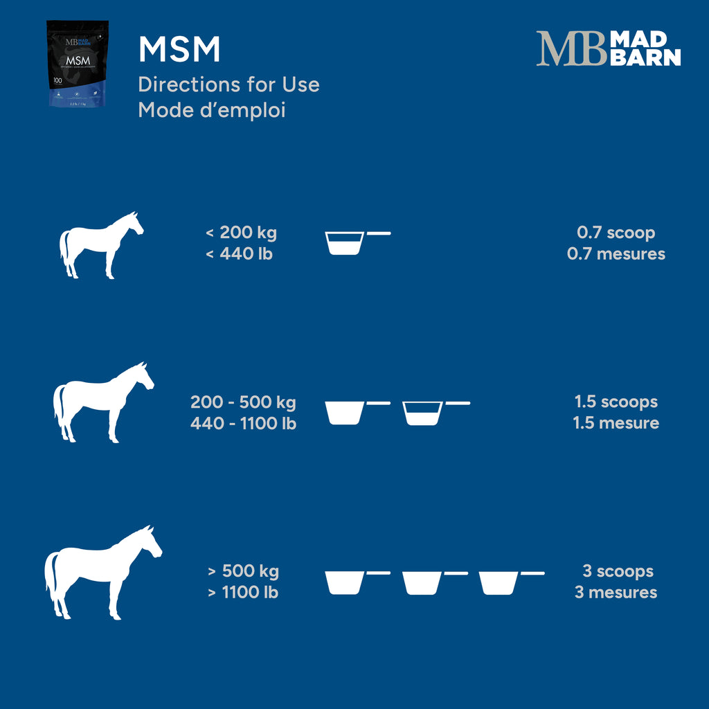 Supplément MSM Madbarn pour la santé des articulations des chevaux, en poudre de 1kg, utilisé pour les soins équins.