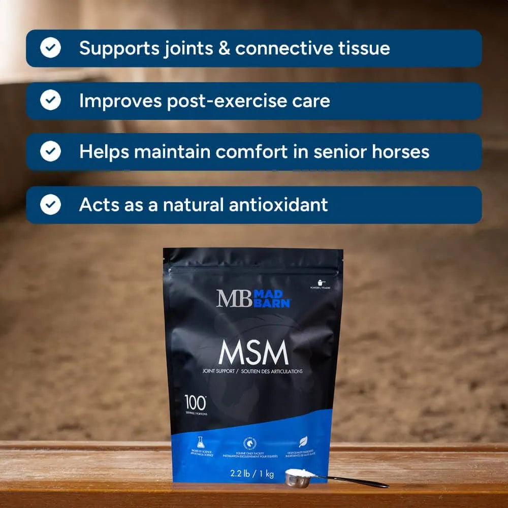 Poudre de MSM Madbarn pour chevaux, supplément pour les articulations, emballage de 1 kg, soin équin pour la mobilité et la santé.