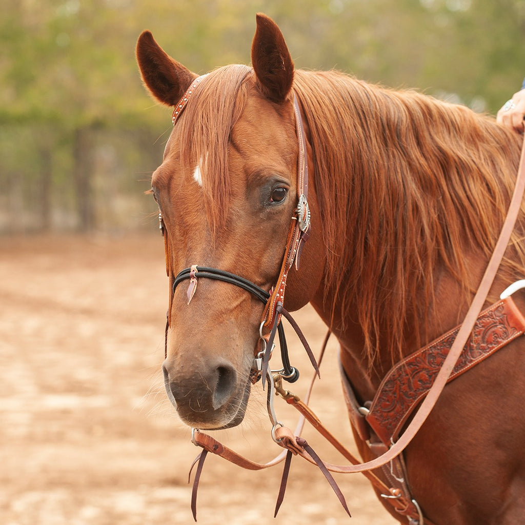 Muserolle Tie-Down double en corde de nylon Equibrand, accessoire d'équitation avec cordage solide pour maintien stable.