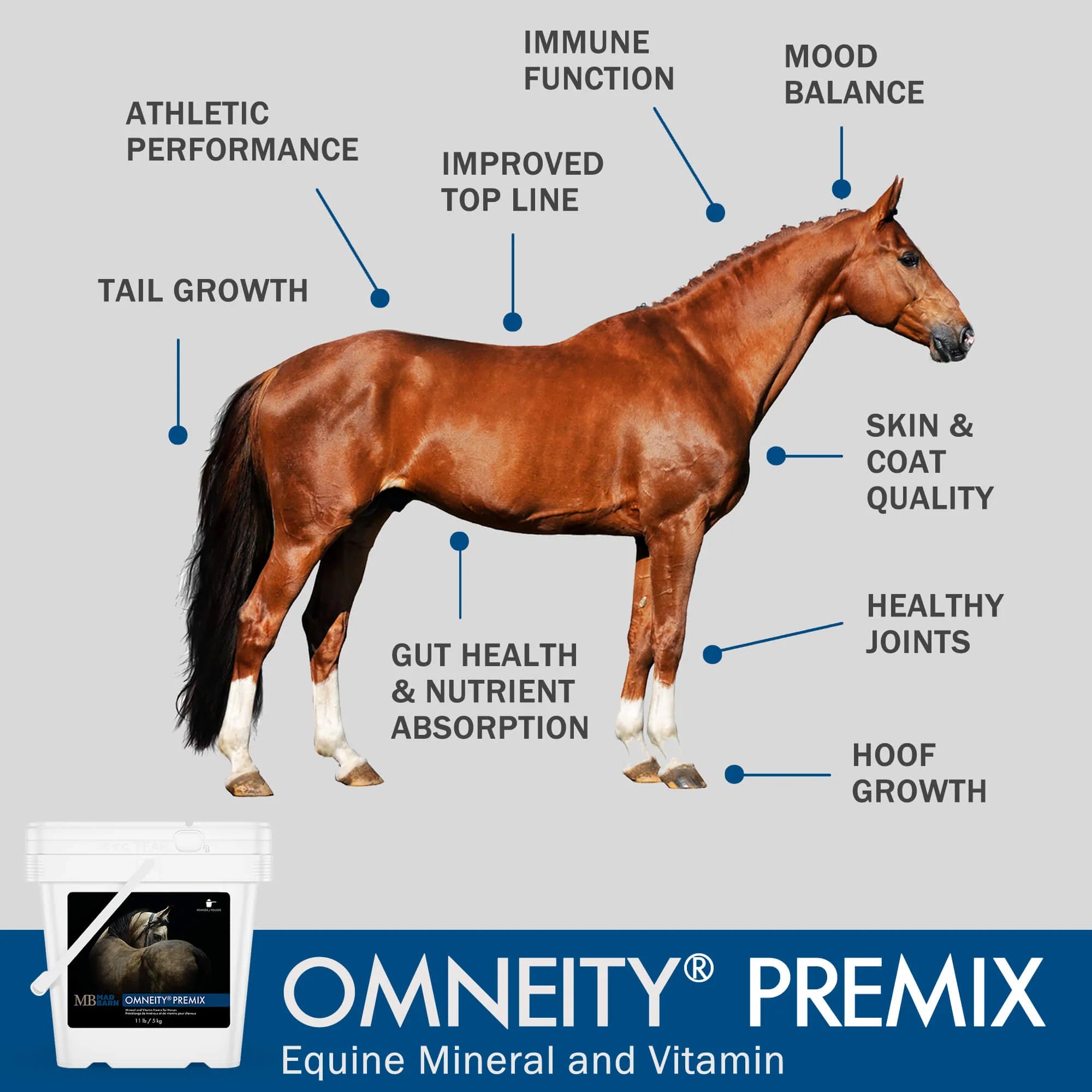 Supplément minéral et vitaminé Omneity® Premix Madbarn pour chevaux, mélange nutritif pour soins équins, en sac de 5 kg