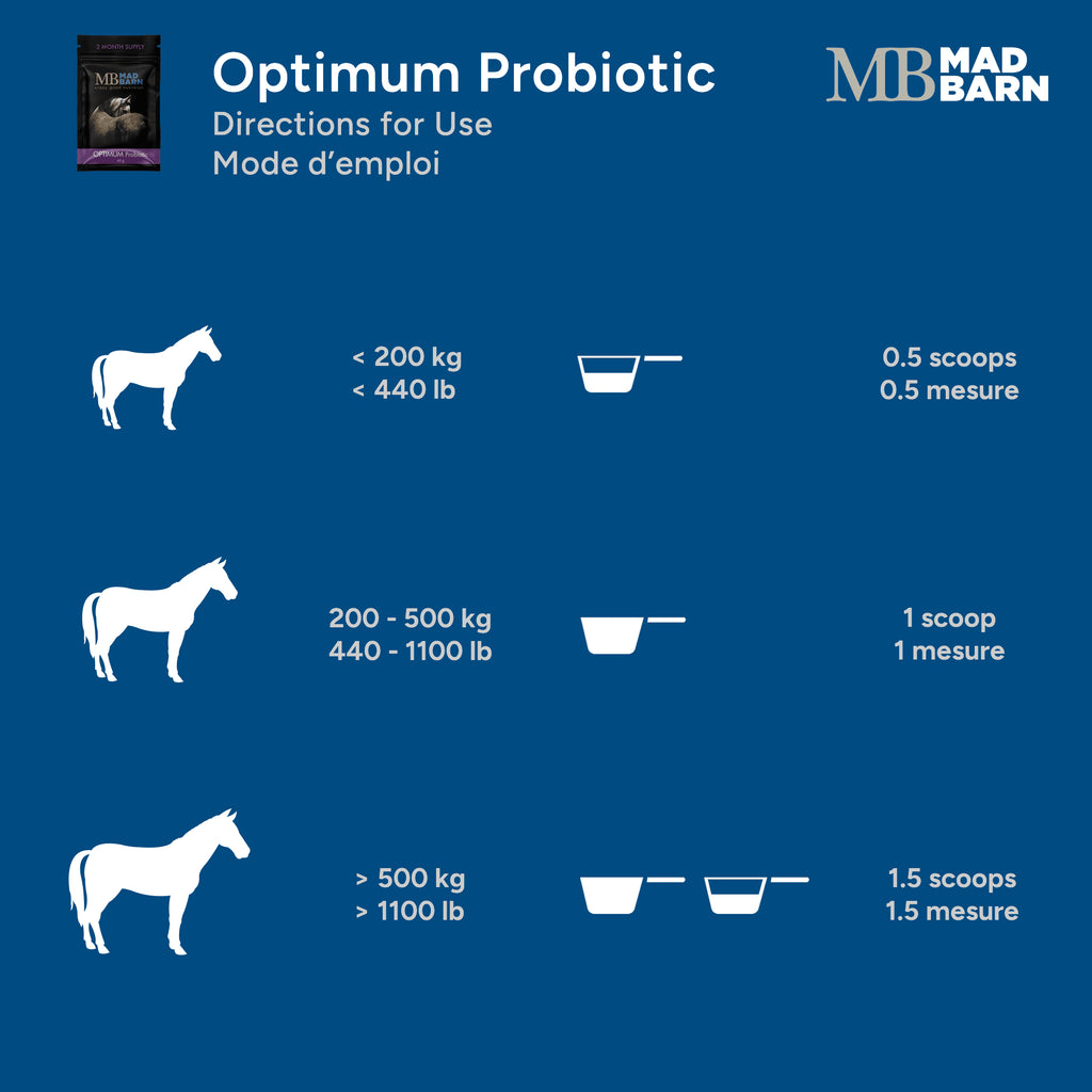 Poudre probiotique Madbarn Optimum Probiotic pour soins intestinaux, contenant 60g, en flacon avec instructions d'utilisation visibles.
