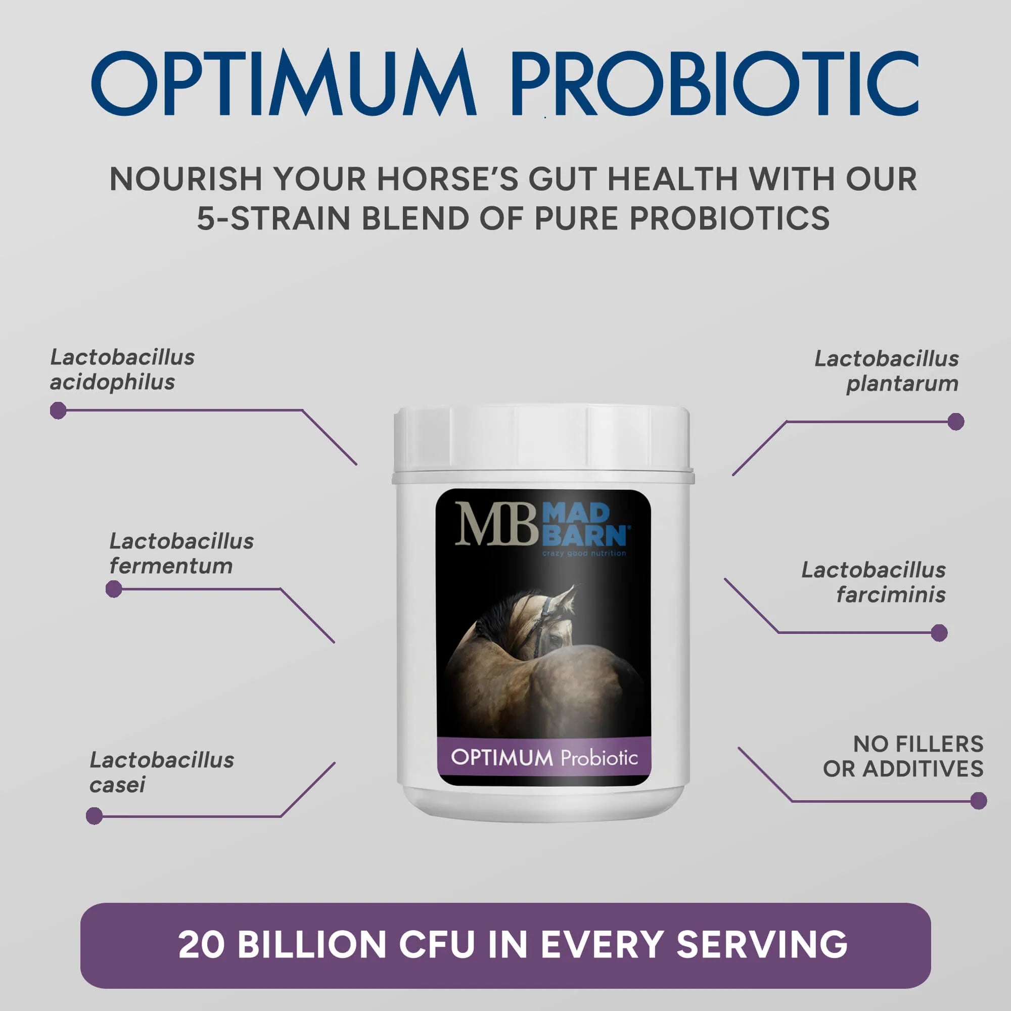 Optimum Probiotic 500g