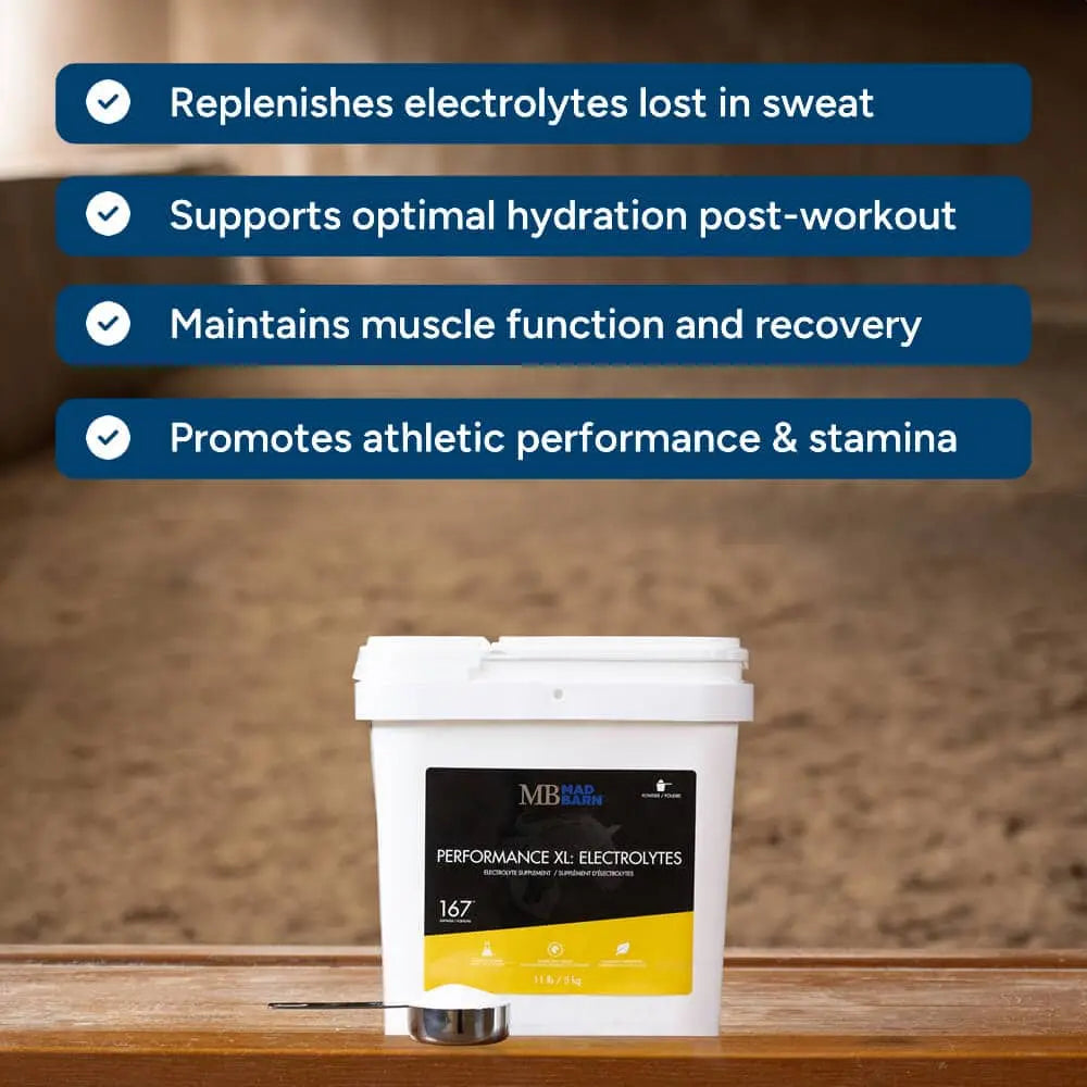Supplément d'électrolytes Performance XL pour chevaux de Madbarn, poudre minérale pour soins équins, 1 kg.