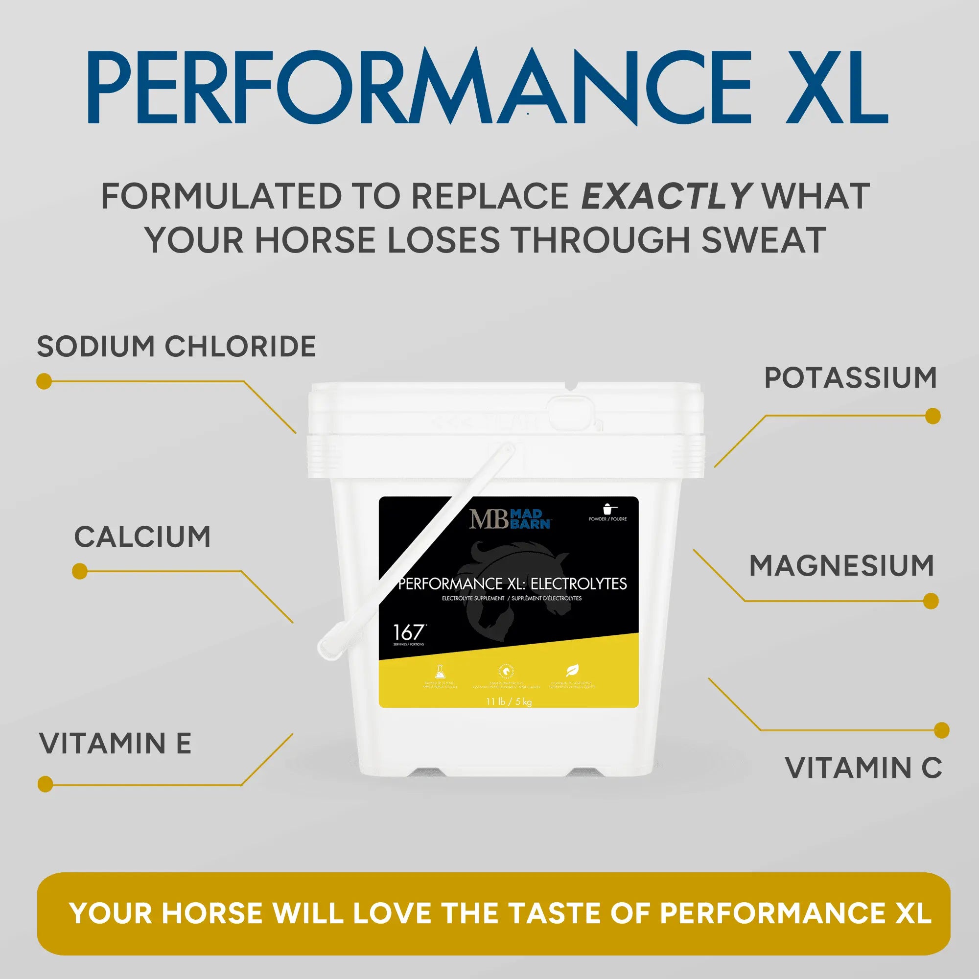 Supplément d'électrolytes Performance XL Madbarn pour chevaux, haute performance, 1 kg, soin essentiel pour l'hydratation équine.