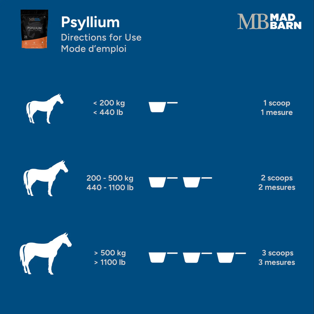 Supplément de psyllium Madbarn pour chevaux, boîte de 1 kg, destiné aux soins digestifs et à la santé équine.