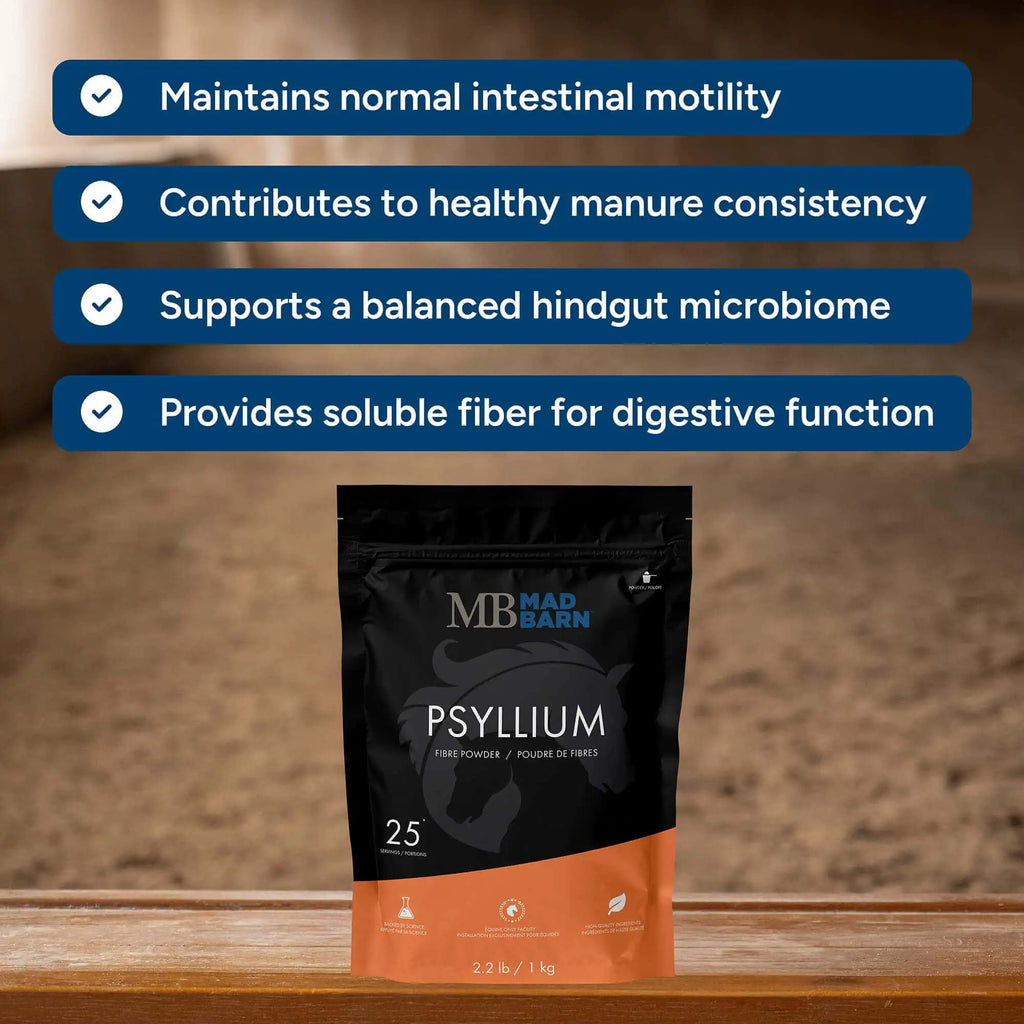 Supplément de psyllium Madbarn pour équins, 1 kg, offrant des bienfaits pour la digestion et la santé intestinale des chevaux.