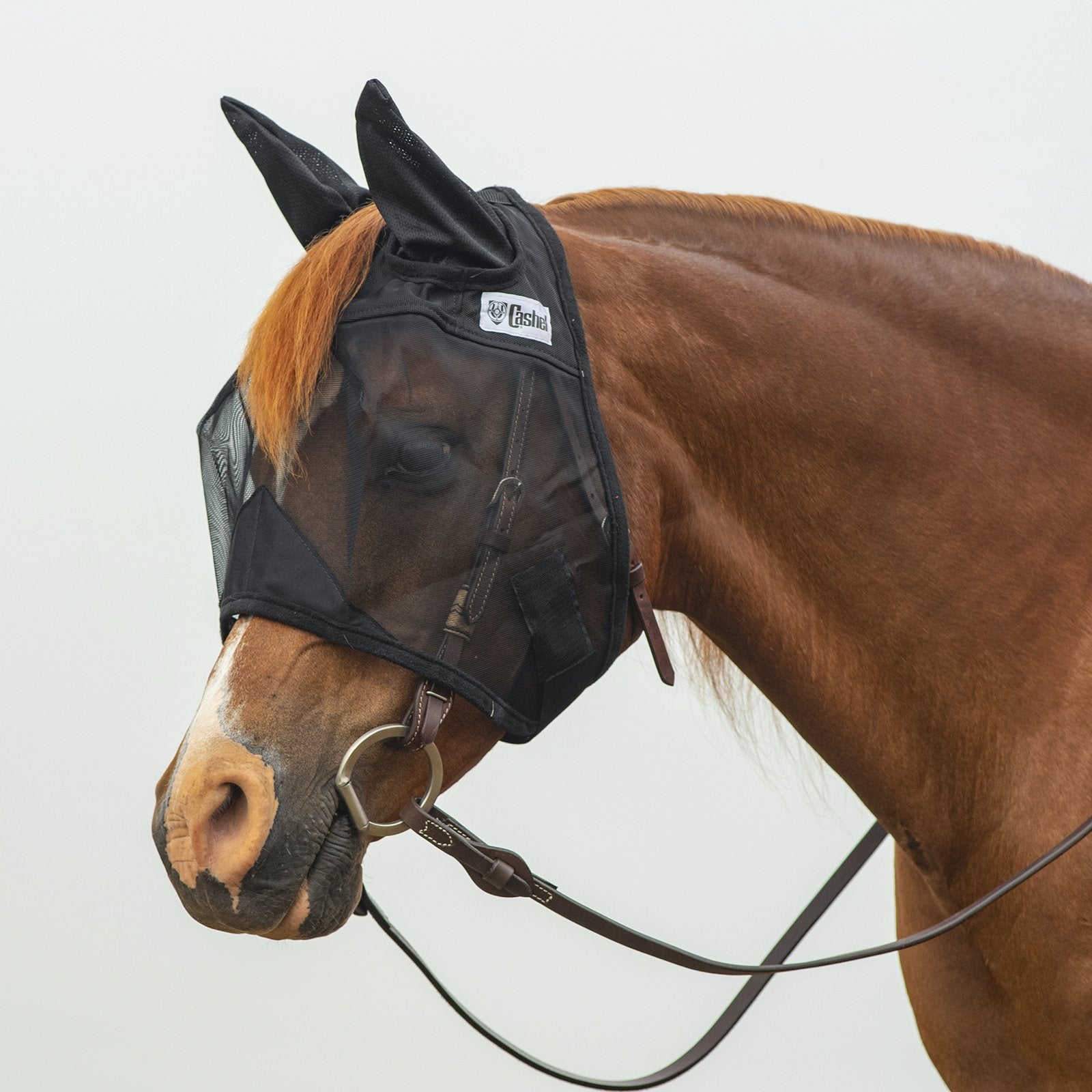 Masque Quiet Ride oreilles standard de la marque Equibrand, accessoire pour protéger les oreilles lors de l'équitation.