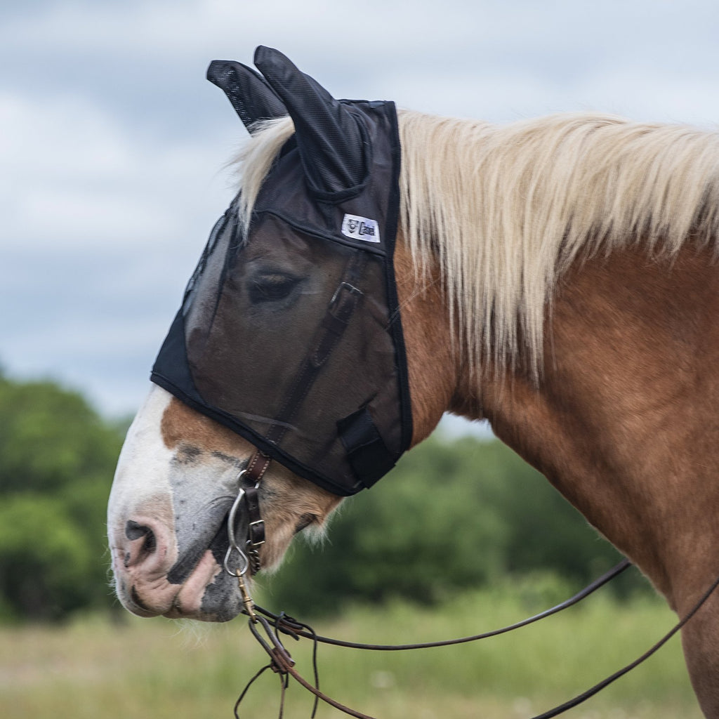 Masque Quiet Ride oreilles standard Equibrand, accessoires pour casque, conçu pour réduire le bruit et améliorer le confort.