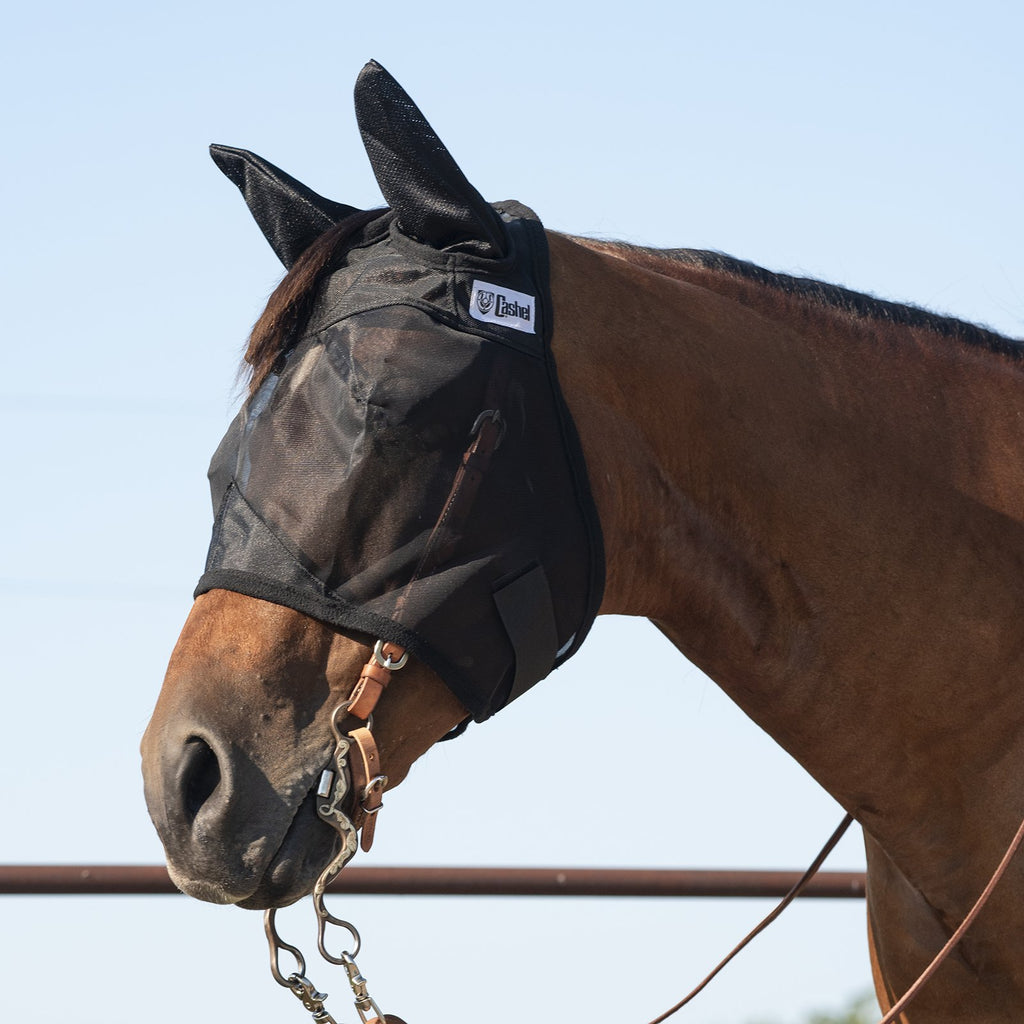 Masque Quiet Ride oreilles standards d'Equibrand, accessoires pour casque, en tissu noir avec rembourrage confortable