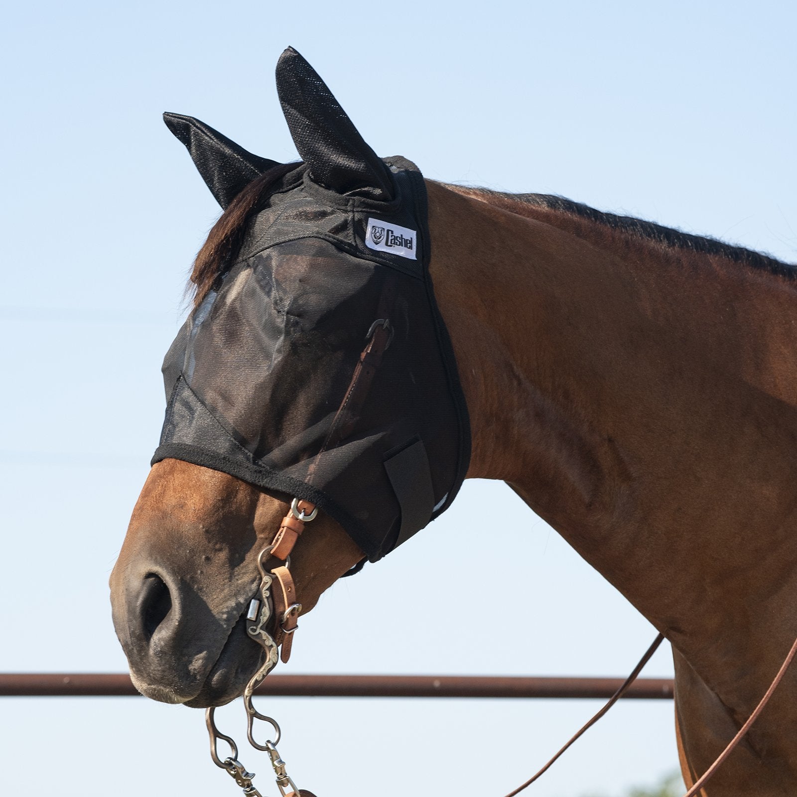 Masque Quiet Ride oreilles standards d'Equibrand, accessoires pour casque, en tissu noir avec rembourrage confortable