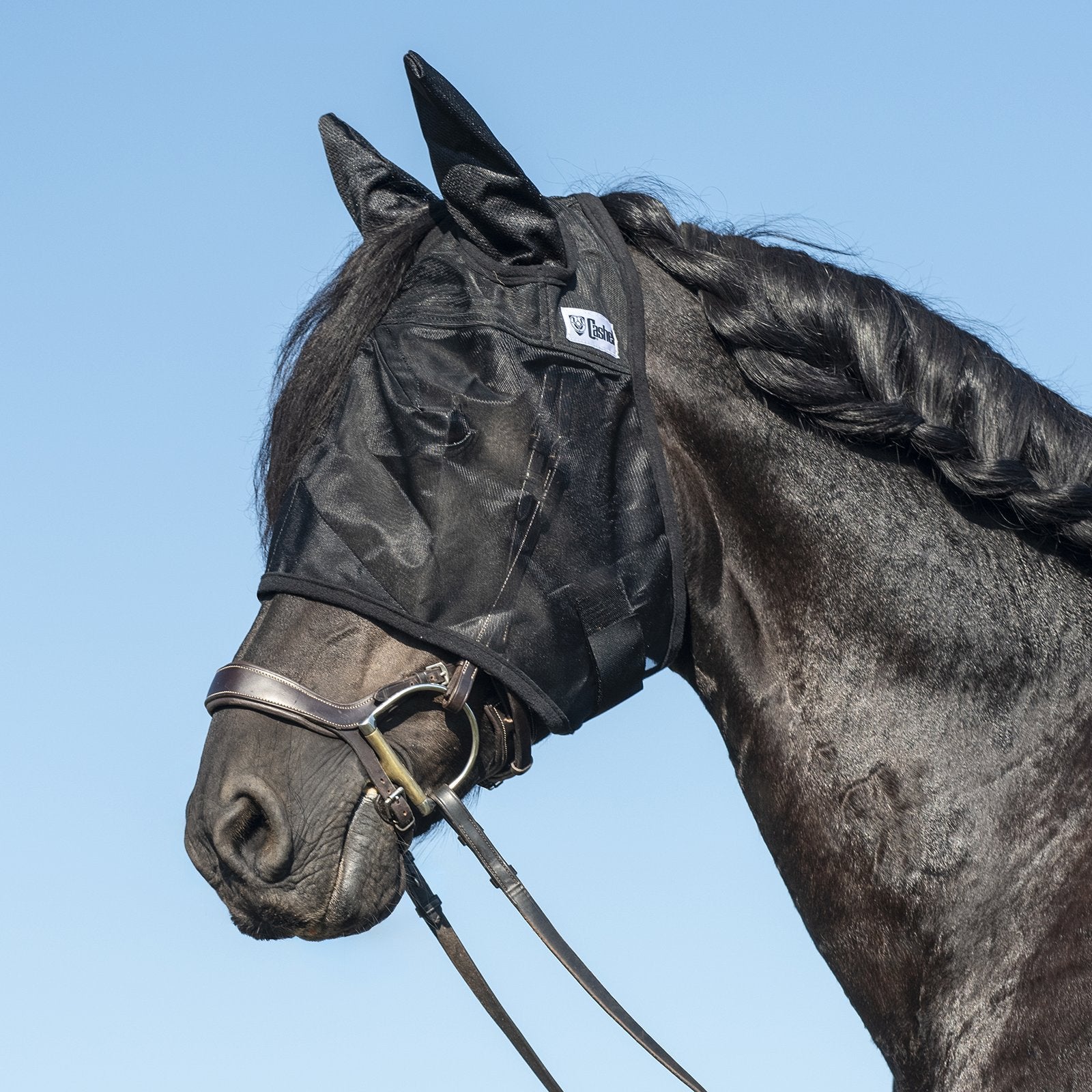 Masque Quiet Ride oreilles standard de la marque Equibrand, accessoire pour confort auditif, visible en détail sur l'image.