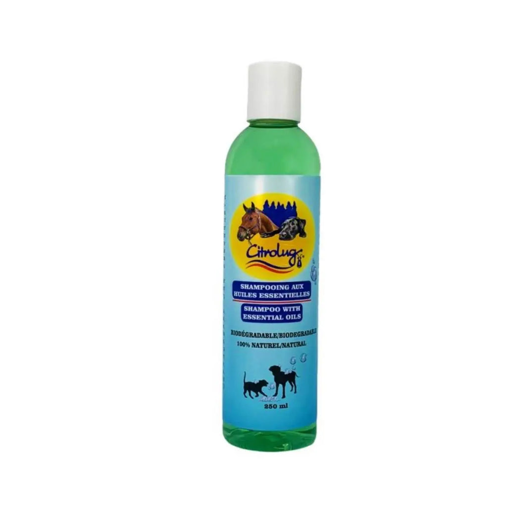 Bouteille de shampoing Citrobug Cavalier pour chevaux et chiens, 250 ml, liquide jaune dans une bouteille.