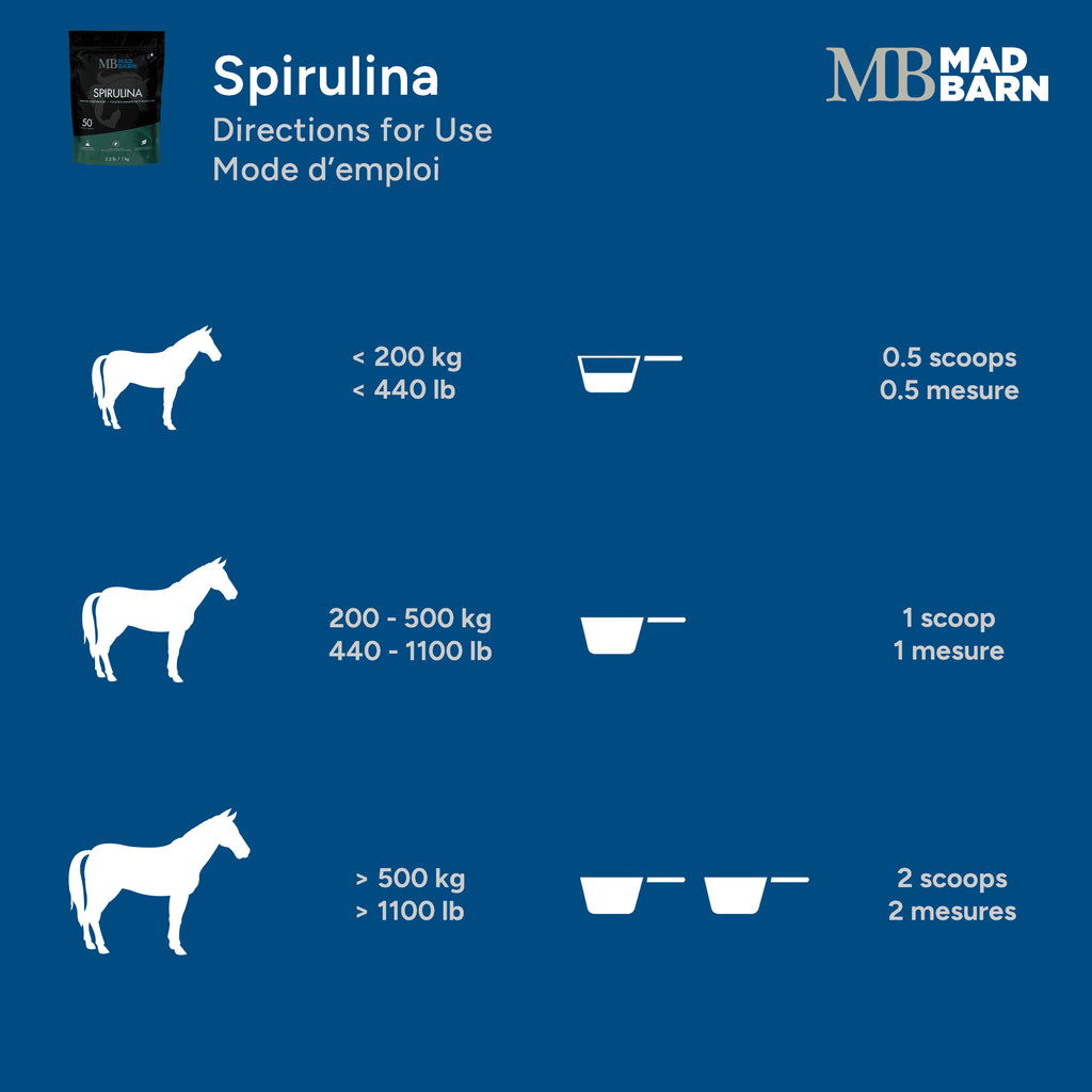 Complément alimentaire spiruline ES Sellerie Western pour chevaux, 1 kg, en poudre verte naturelle.