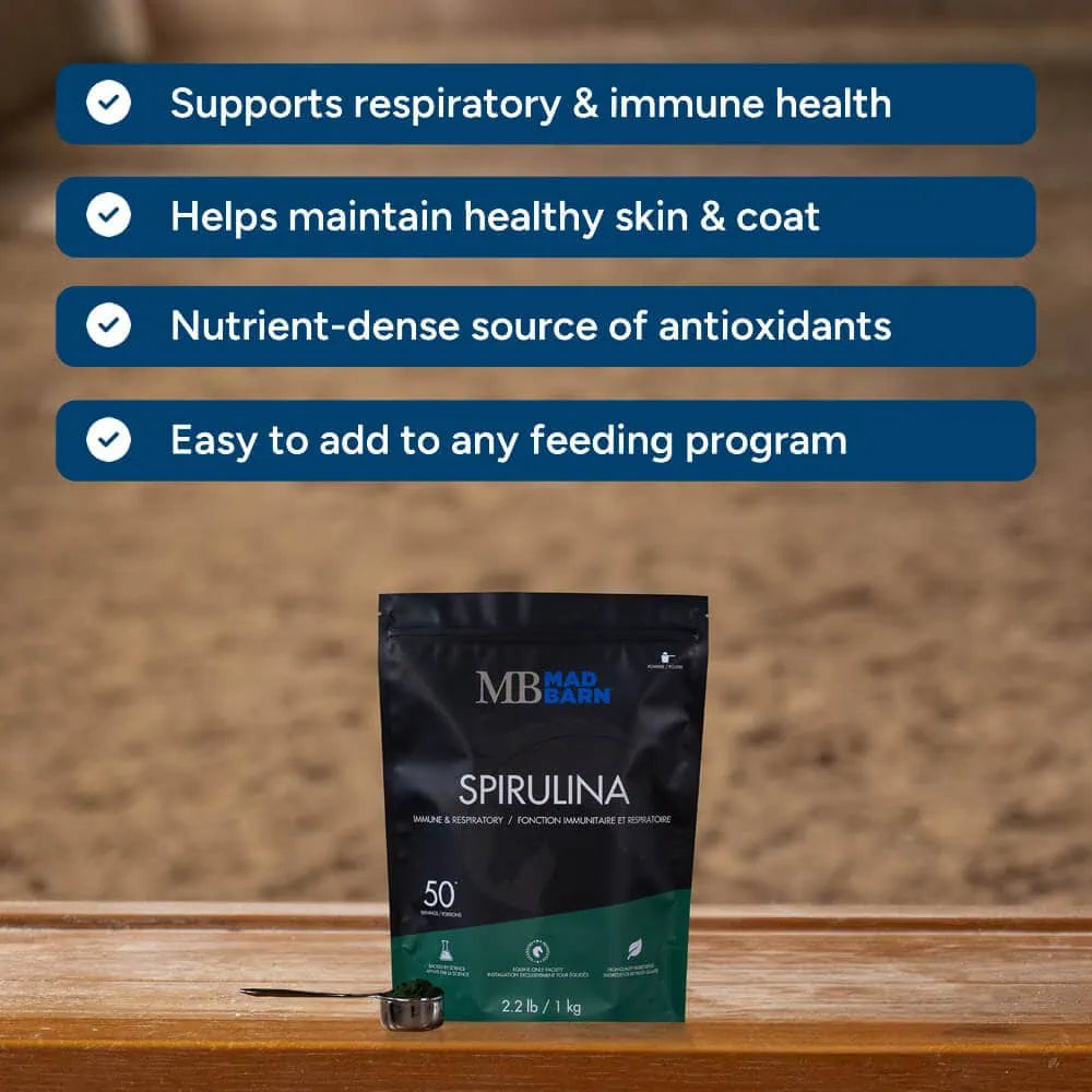 Spiruline ES Sellerie Western en poudre pour chevaux, supplément naturel de 1 kg pour la santé et la vitalité équine.