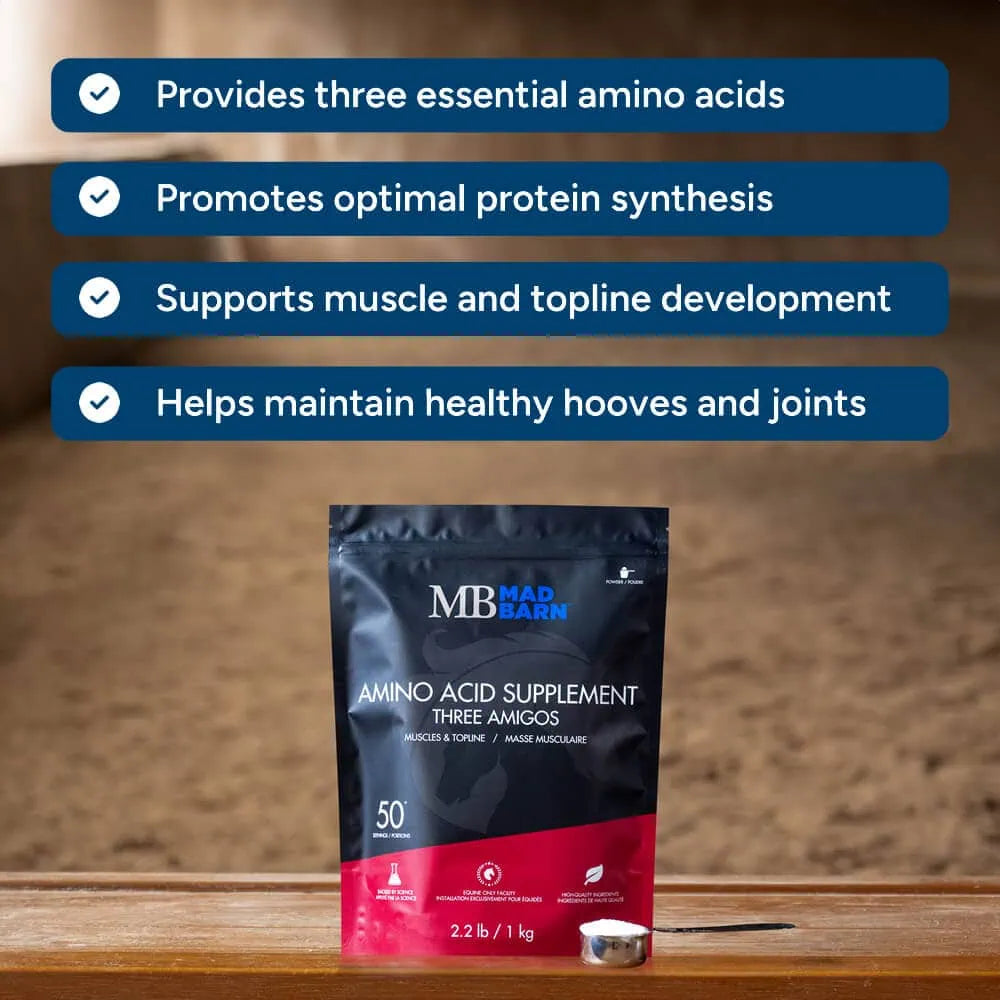 Suppément d'acides aminés Three Amigos Madbarn pour chevaux, soin équin, flacon de 1 kg, complément essentiel pour la santé.