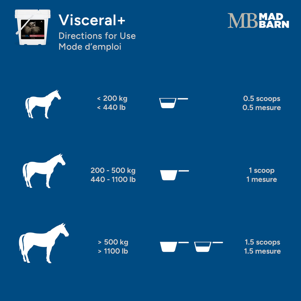 Supplément Visceral+ Madbarn pour la santé intestinale des chevaux, flacon de 2,5 kg avec instructions d'utilisation.