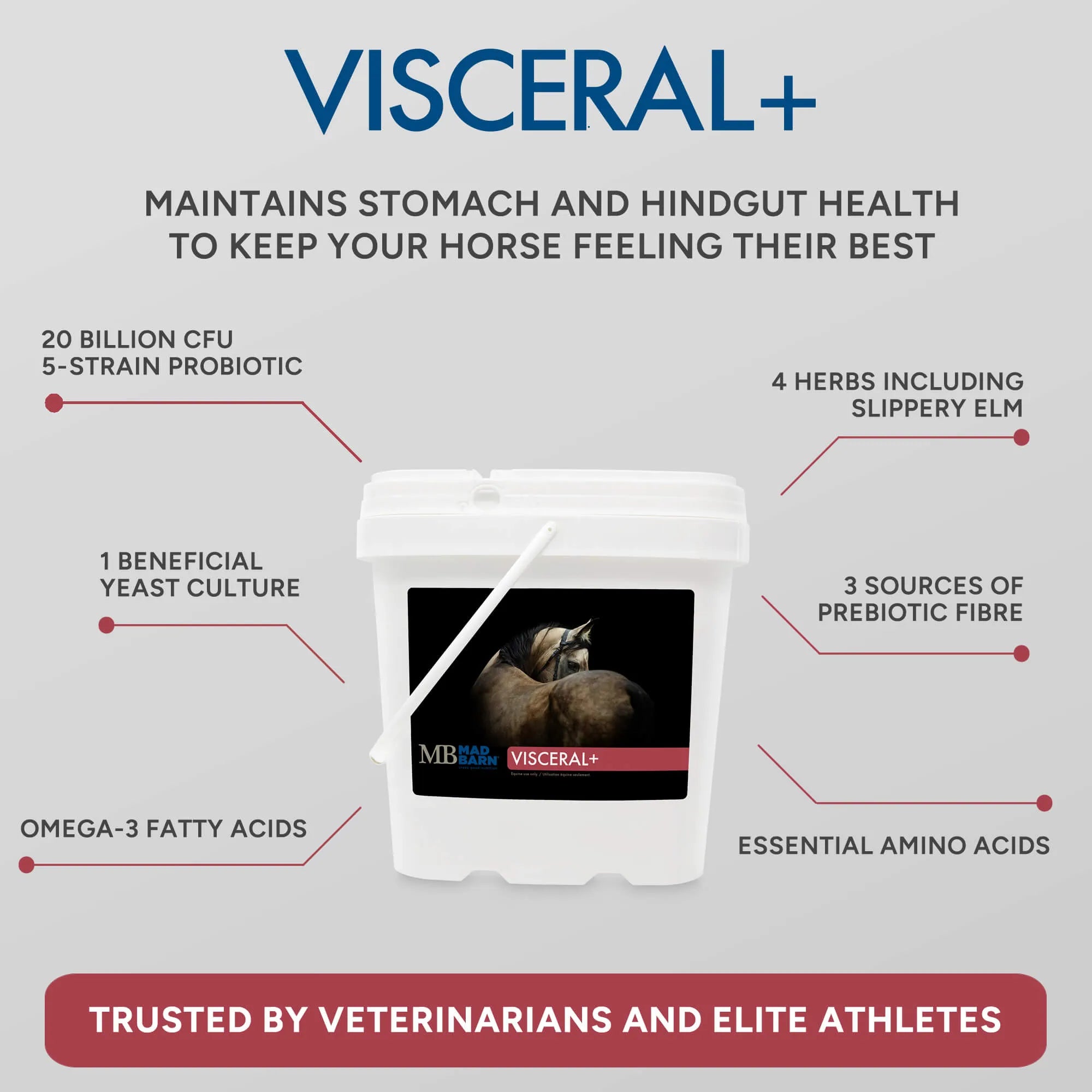 Supplément Visceral+ Madbarn pour chevaux, soutien digestif du estomac et du hindgut, en sac de 2,5 kg.