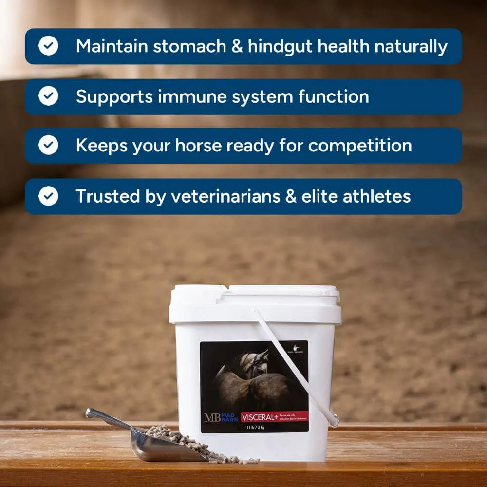 Supplément Visceral+ Madbarn pour chevaux, favorise la santé intestinale et le bien-être du ventre naturel.