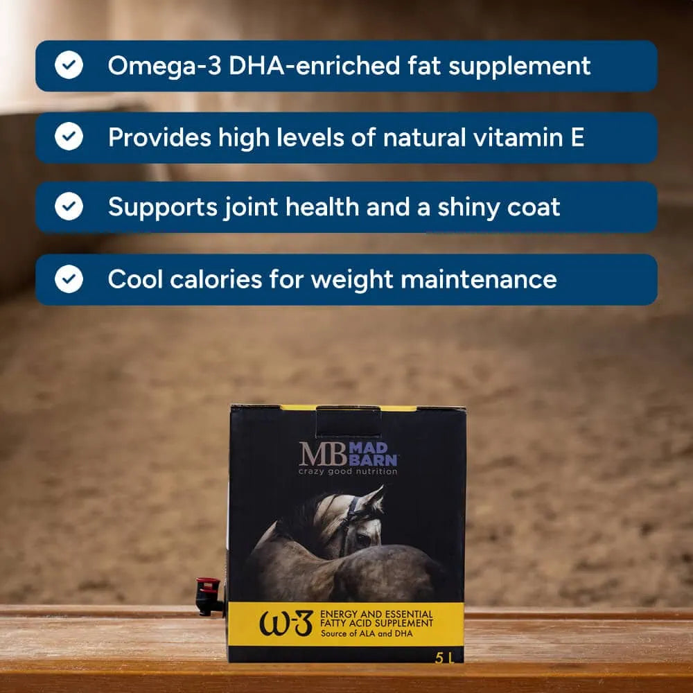 Huile W-3 Energy Madbarn pour chevaux, supplément enrichi en DHA, soin naturel pour la santé équine, flacon d'huile.